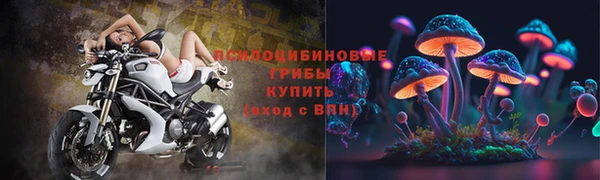 бошки Алзамай
