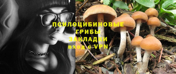 тгк Алексеевка
